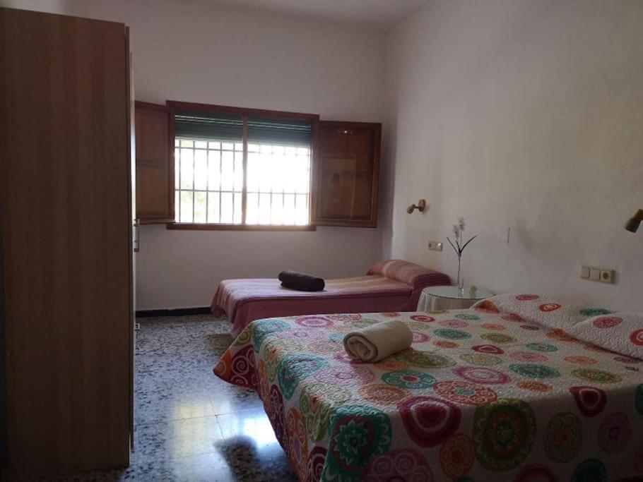 Casa Rural La Colina Calasparra Bagian luar foto
